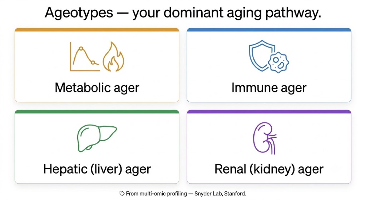 Same Speed, Different Systems: Your Ageotype