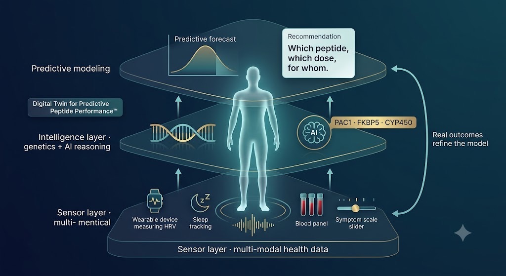 The Digital Twin for Predictive Peptide Performance — How AI Personalizes Your Plan