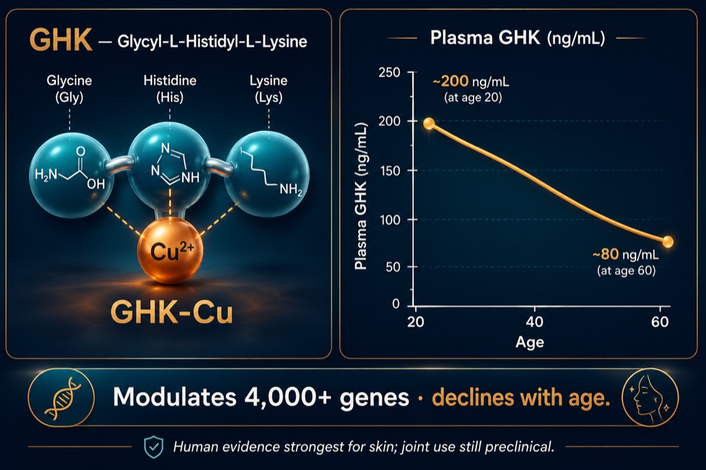 GHK-Cu levels fall by more than half between ages 20 and 60