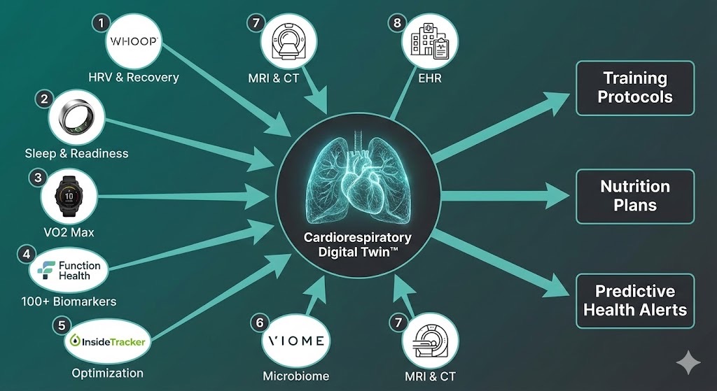 A Cardiorespiratory Digital Twin integrates fragmented data streams