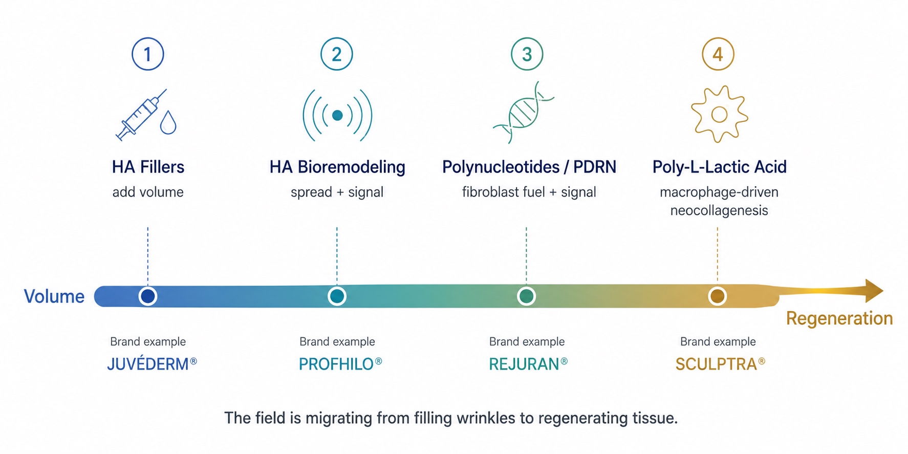 The Injectable Spectrum: From Volume Fillers to Collagen Regeneration