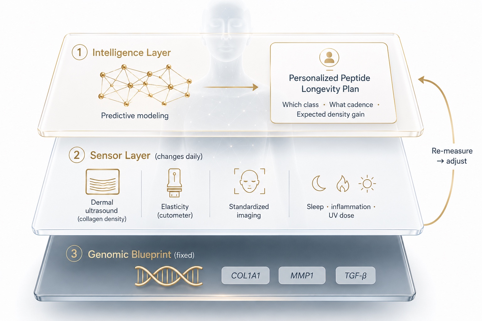 The Digital Twin for Predictive Peptide Performance: Sensor, Intelligence, and Plan Layers