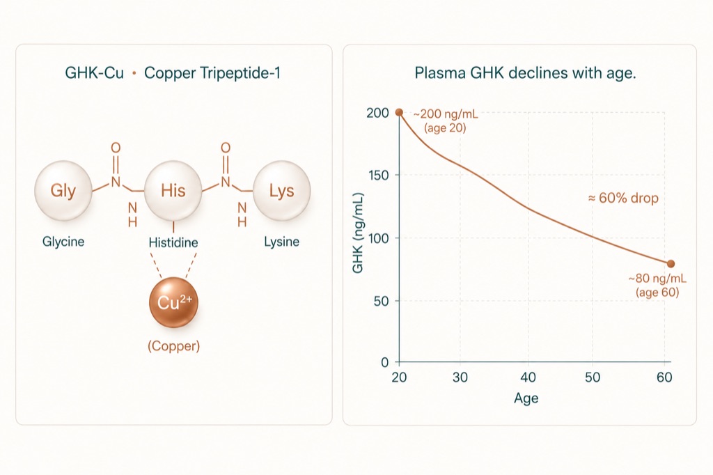 GHK-Cu is a fragment of your own plasma bound to copper