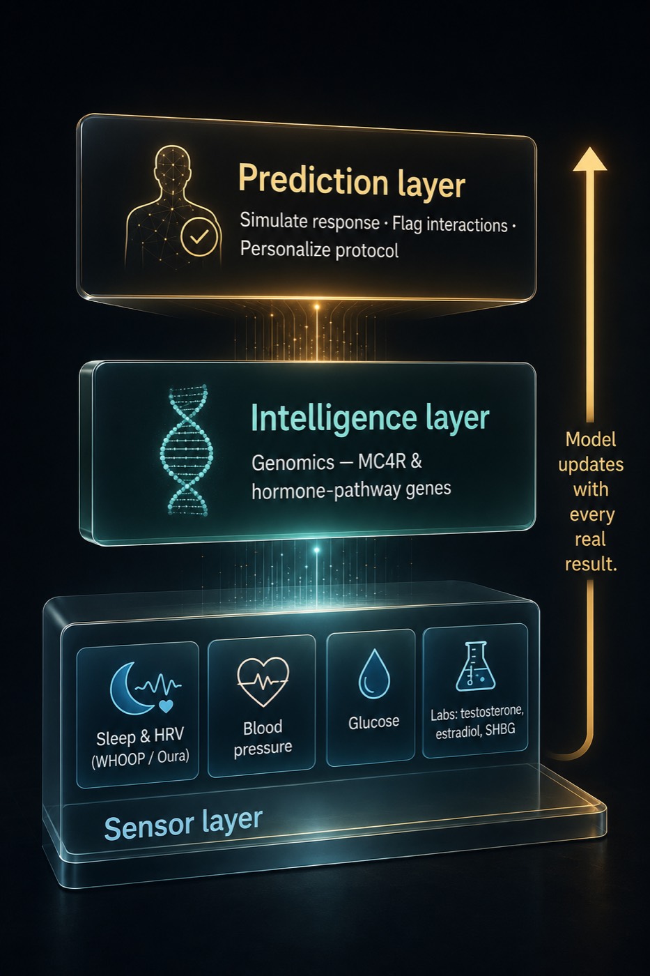 From Molecule to Model
