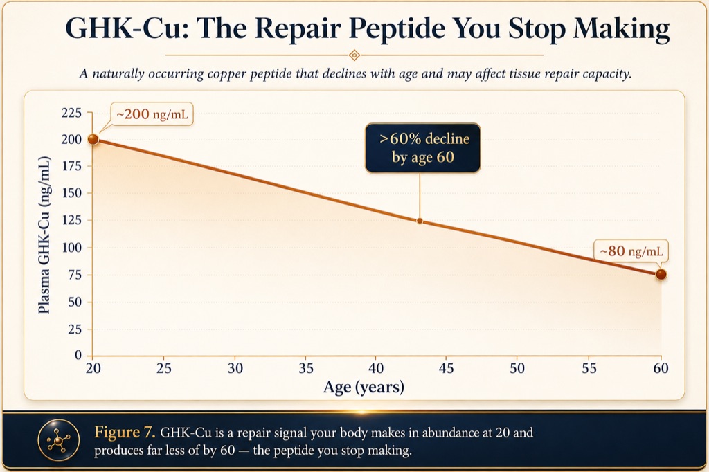 GHK-Cu is a repair signal your body stops making