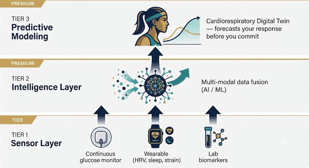 Sensors capture the body in motion; AI fuses the signals; predictive models forecast how you'll respond.