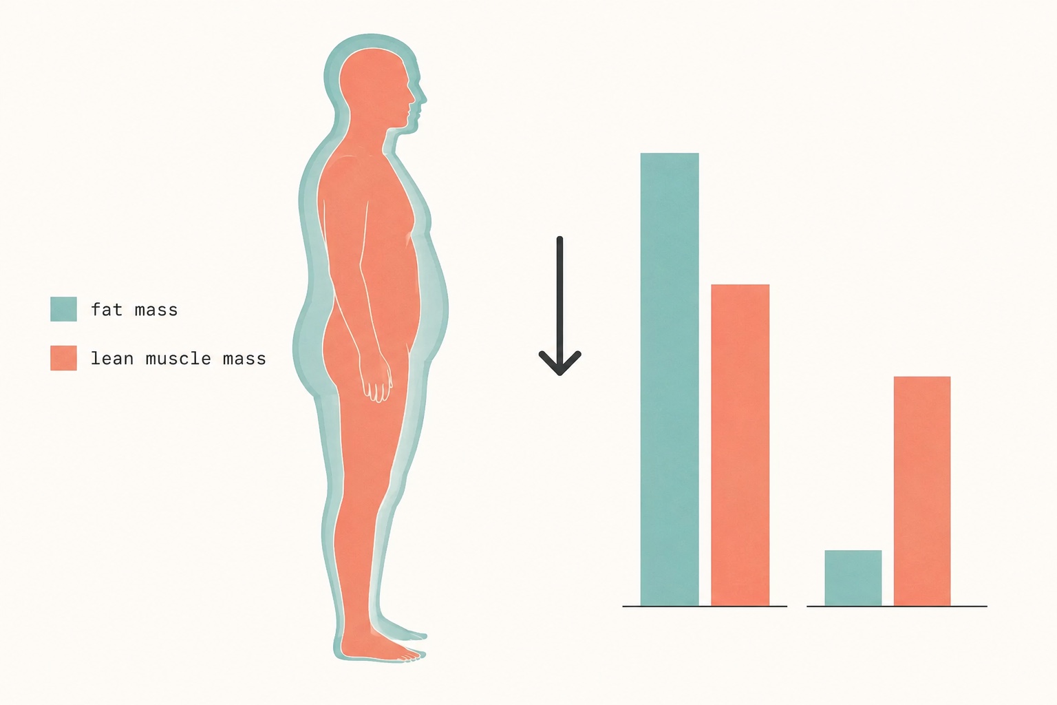 Fat vs. lean mass in GLP-1 weight loss