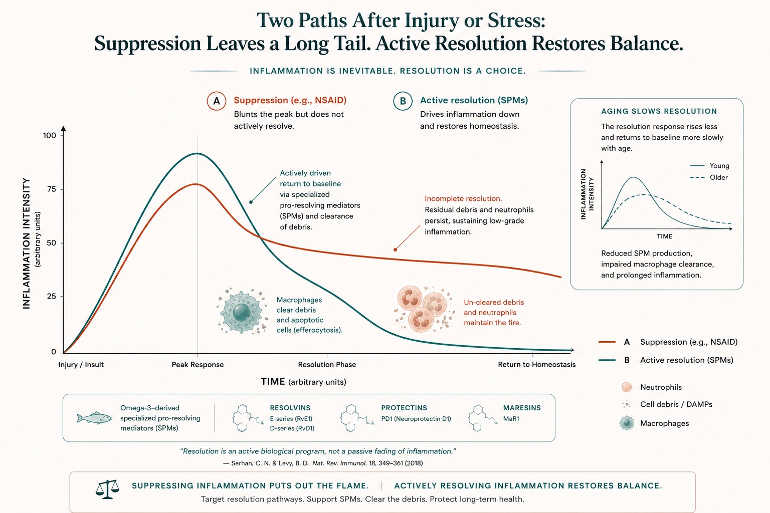 Resolution vs. suppression of inflammation