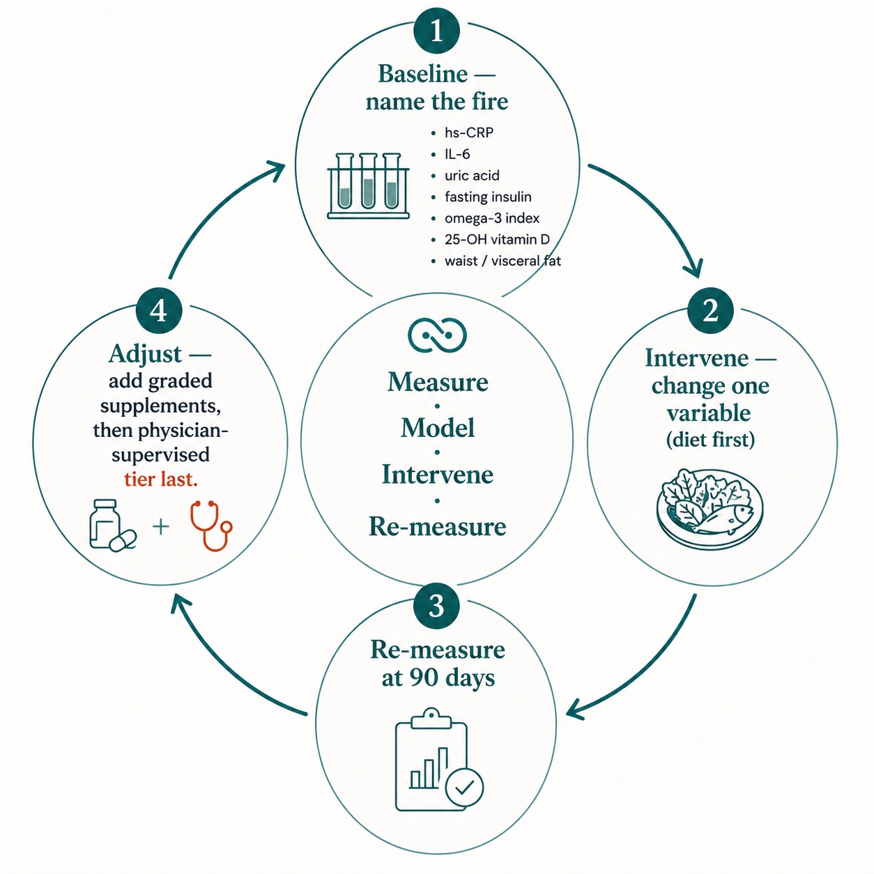 The 90-day inflammation feedback loop