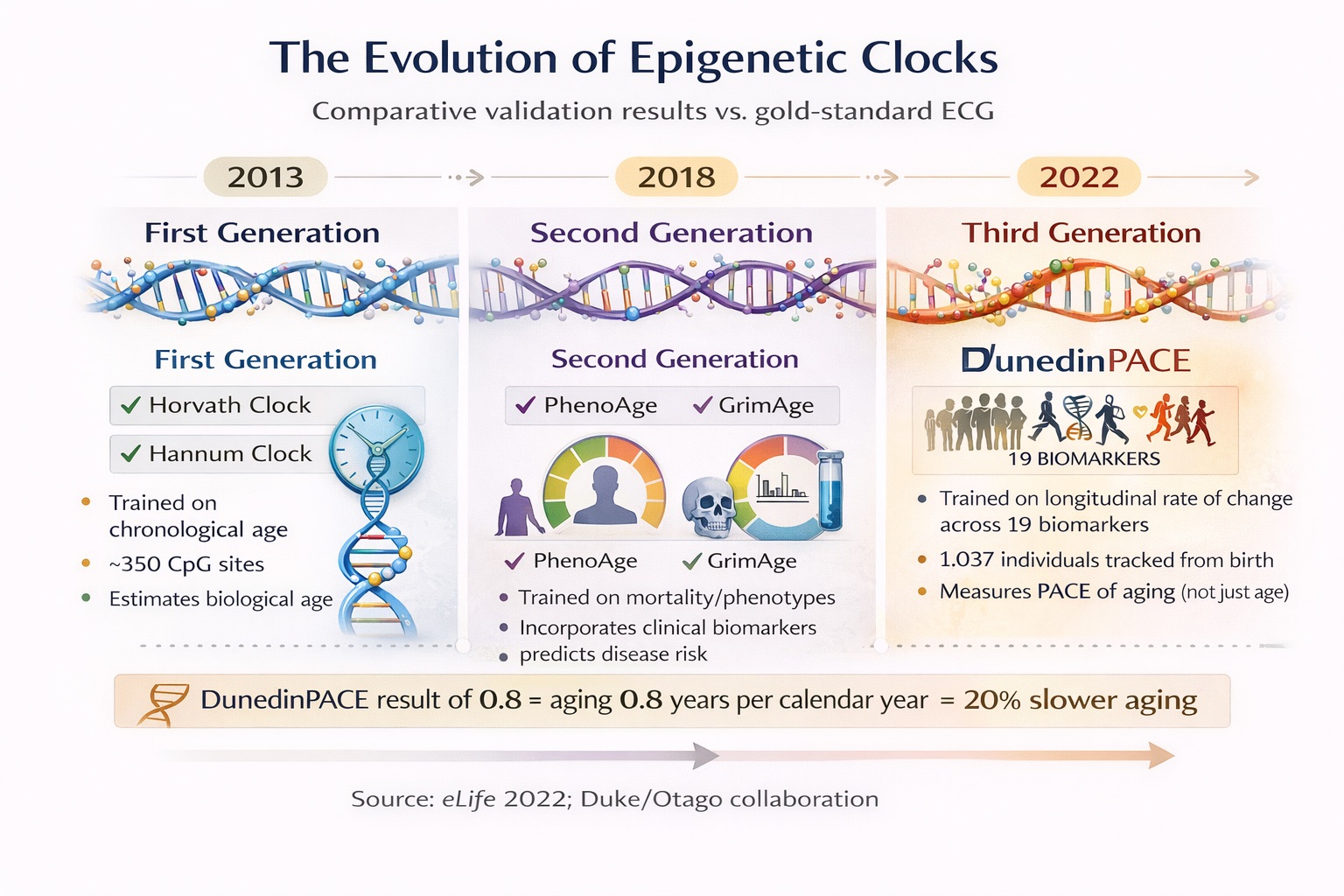 The evolution of epigenetic clocks