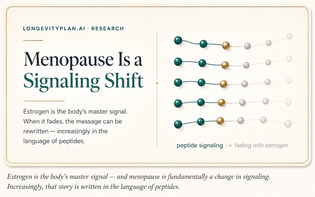 Estrogen is the body's master signal, and menopause is fundamentally a change in signaling, increasingly written in the language of peptides