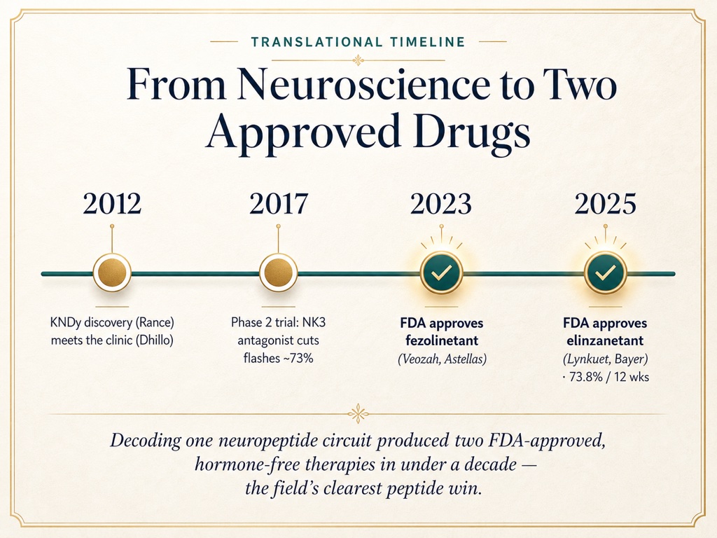 Decoding one neuropeptide circuit produced two FDA-approved, hormone-free therapies in under a decade, the field's clearest peptide win