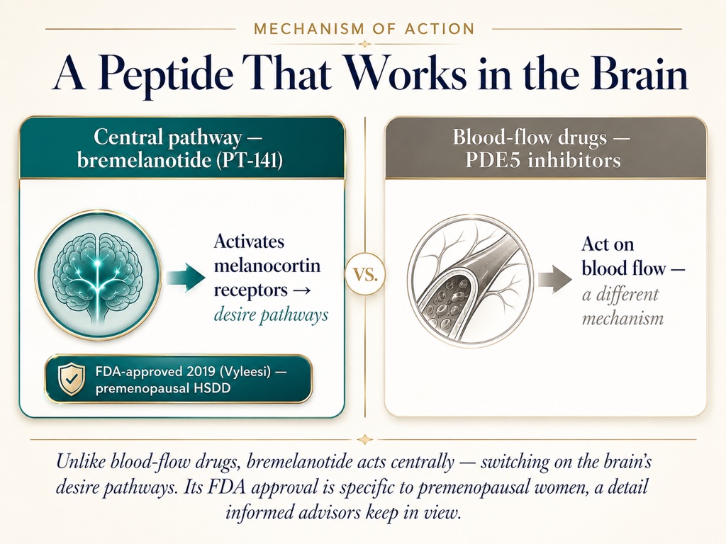 Unlike blood-flow drugs, bremelanotide acts centrally, switching on the brain's desire pathways; its FDA approval is specific to premenopausal women
