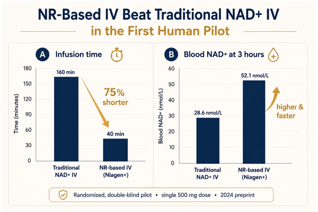 Infusing the smaller NR fragment your cells actually use