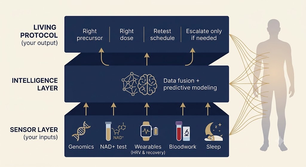The molecule is a commodity; the model is the expertise