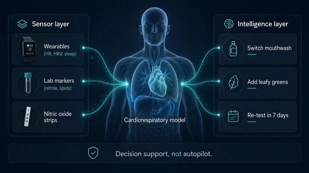 The intelligence layer at work: a living digital model fuses wearables, labs, and nitric oxide readings.