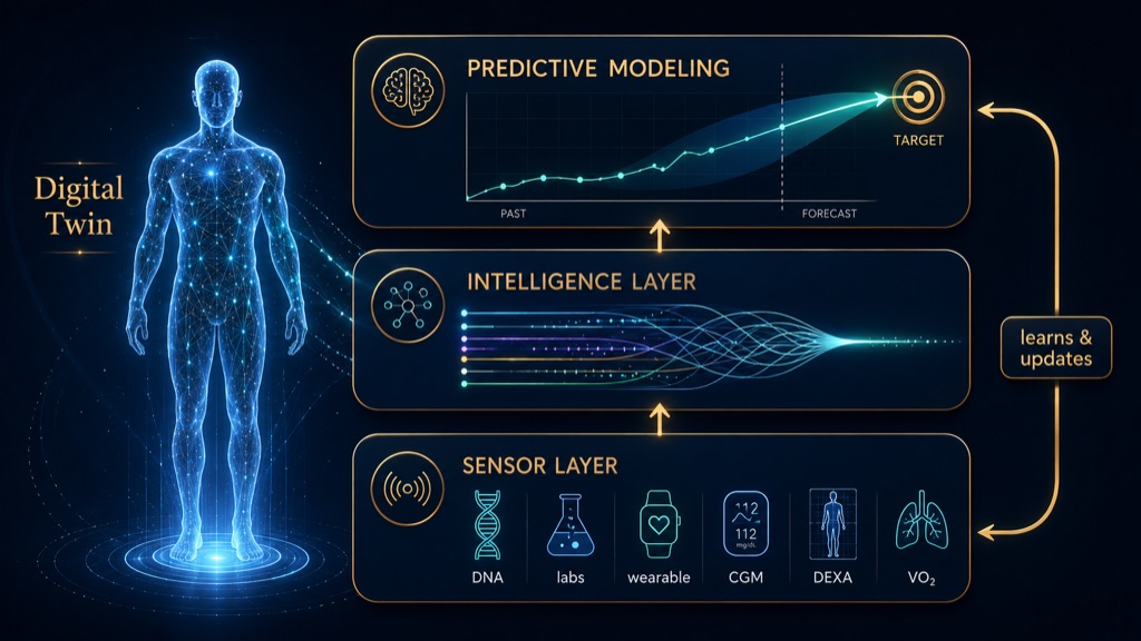 A digital twin forecasts which peptide is likely to work for you