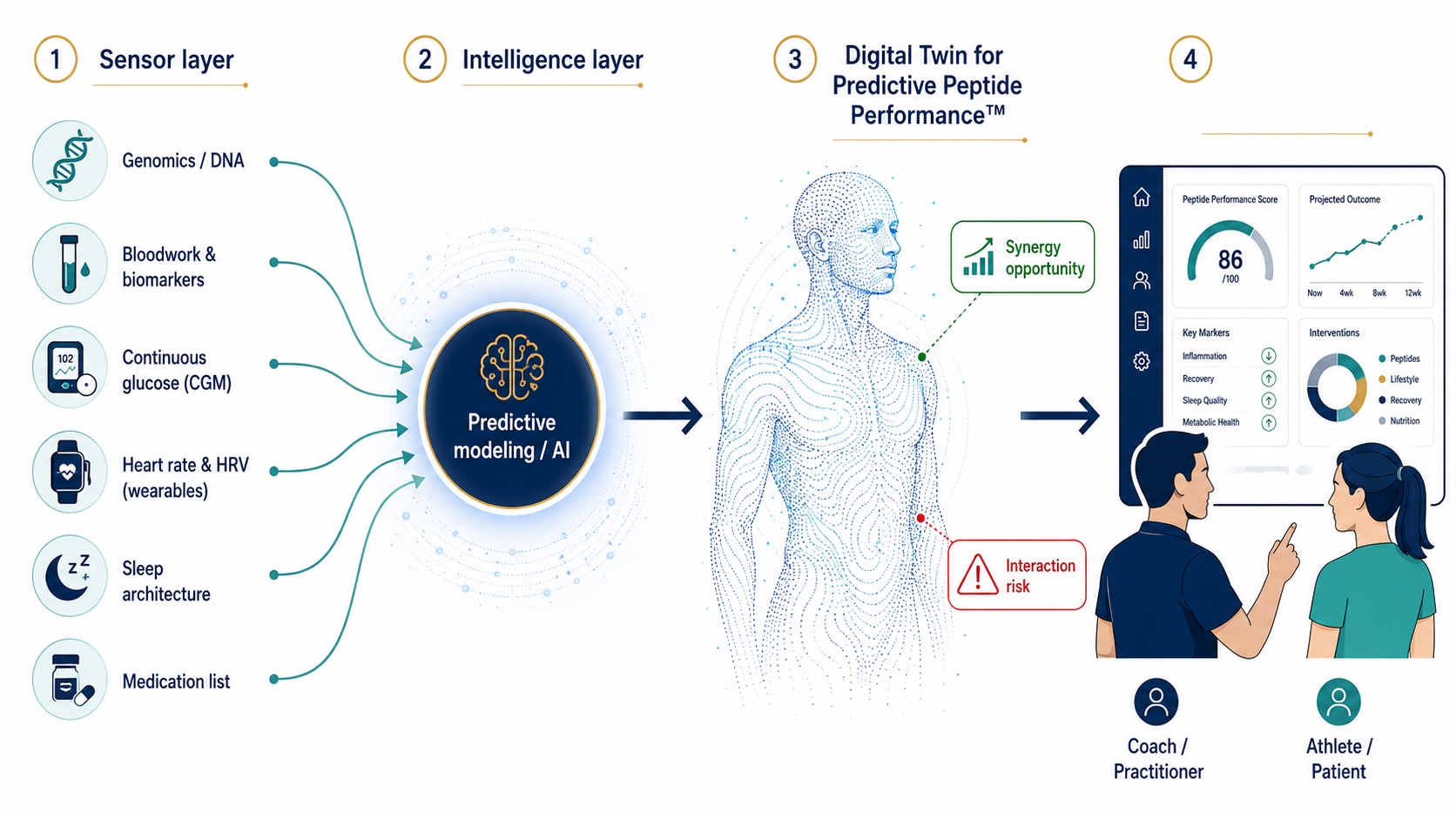 Digital Twin for Predictive Peptide Performance: AI architecture