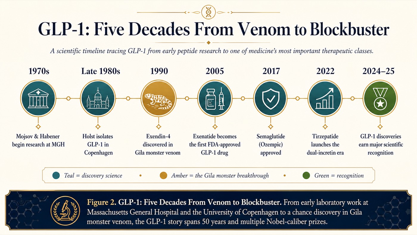 GLP-1: Five Decades From Venom to Blockbuster