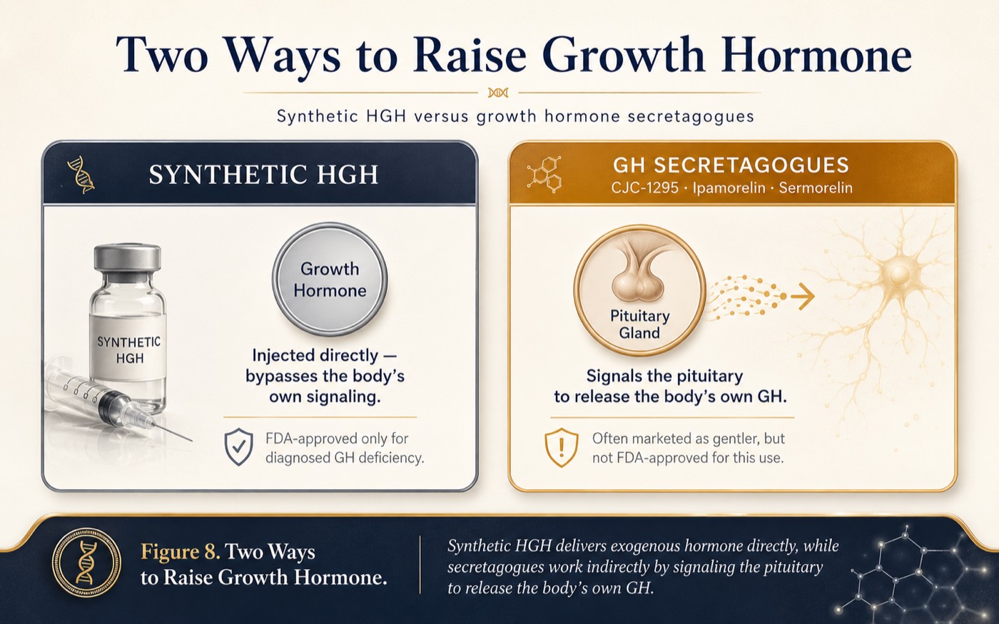 Two Ways to Raise Growth Hormone
