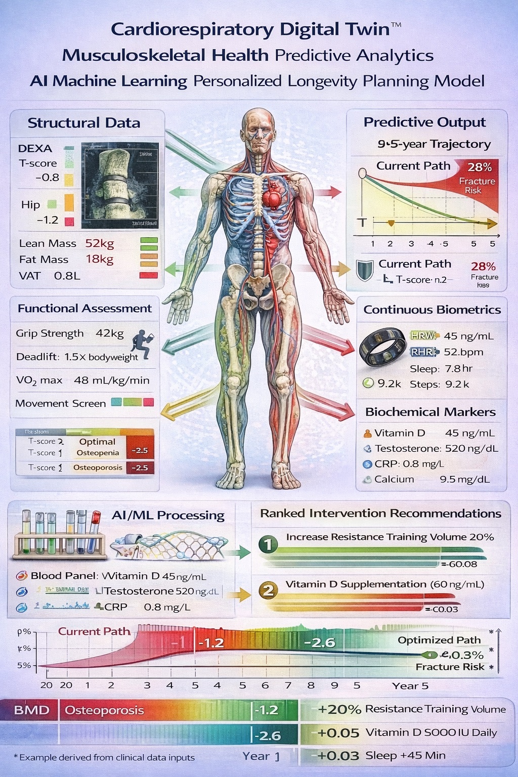 The Cardiorespiratory Digital Twin