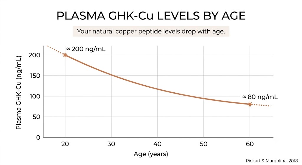 GHK-Cu is something the body already makes, dropping from roughly 200 to 80 ng/mL between ages 20 and 60