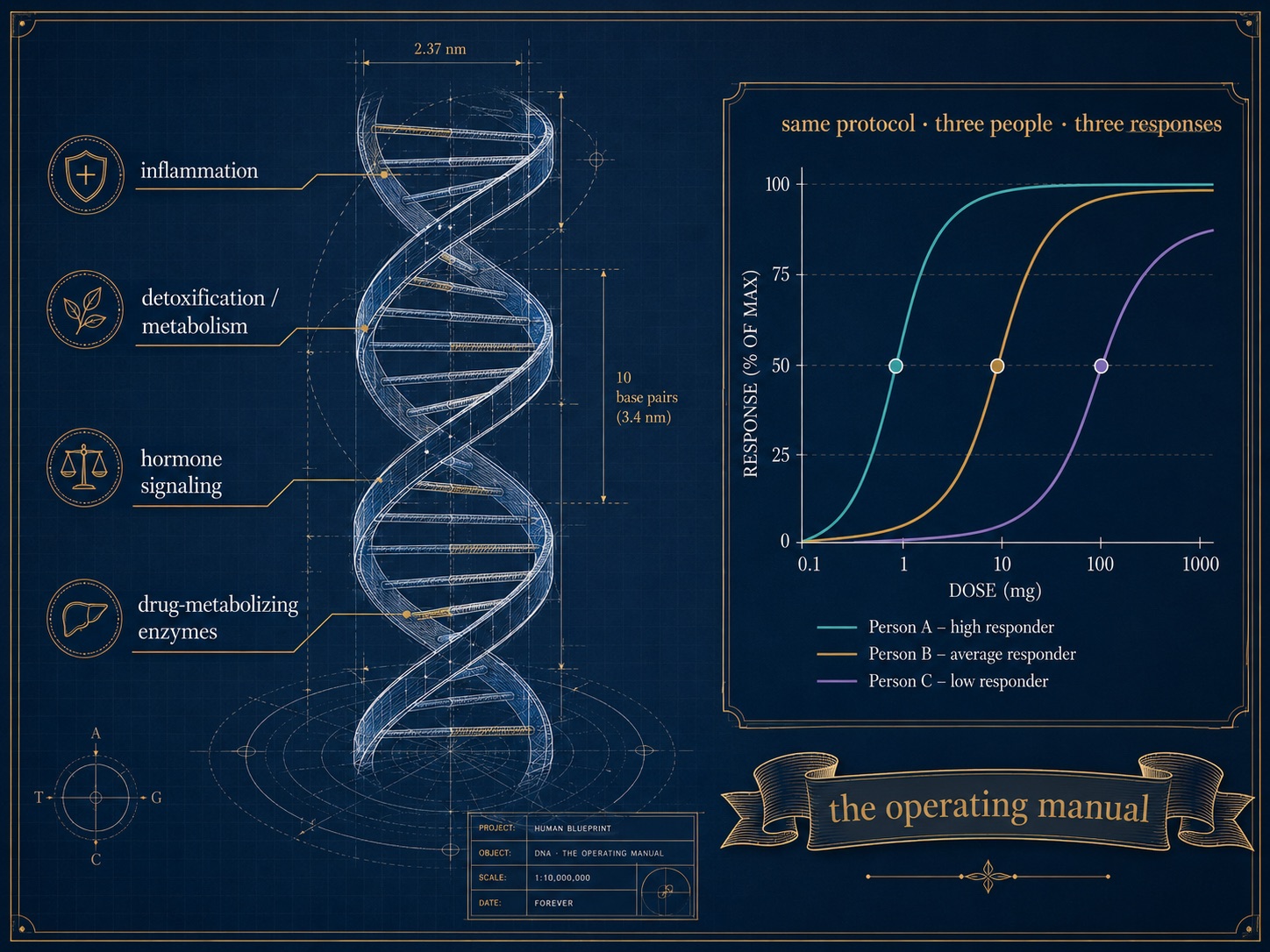 Pharmacogenomics and Personalized Response