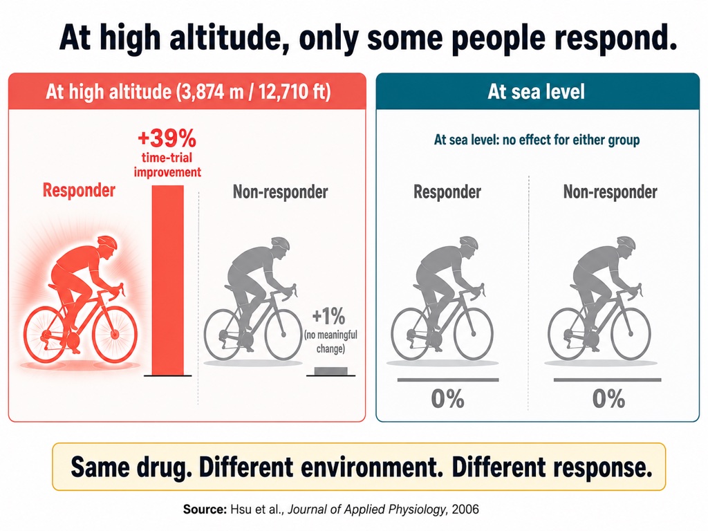 At simulated high altitude, responders improved time-trial performance by about 39% while others gained roughly 1%