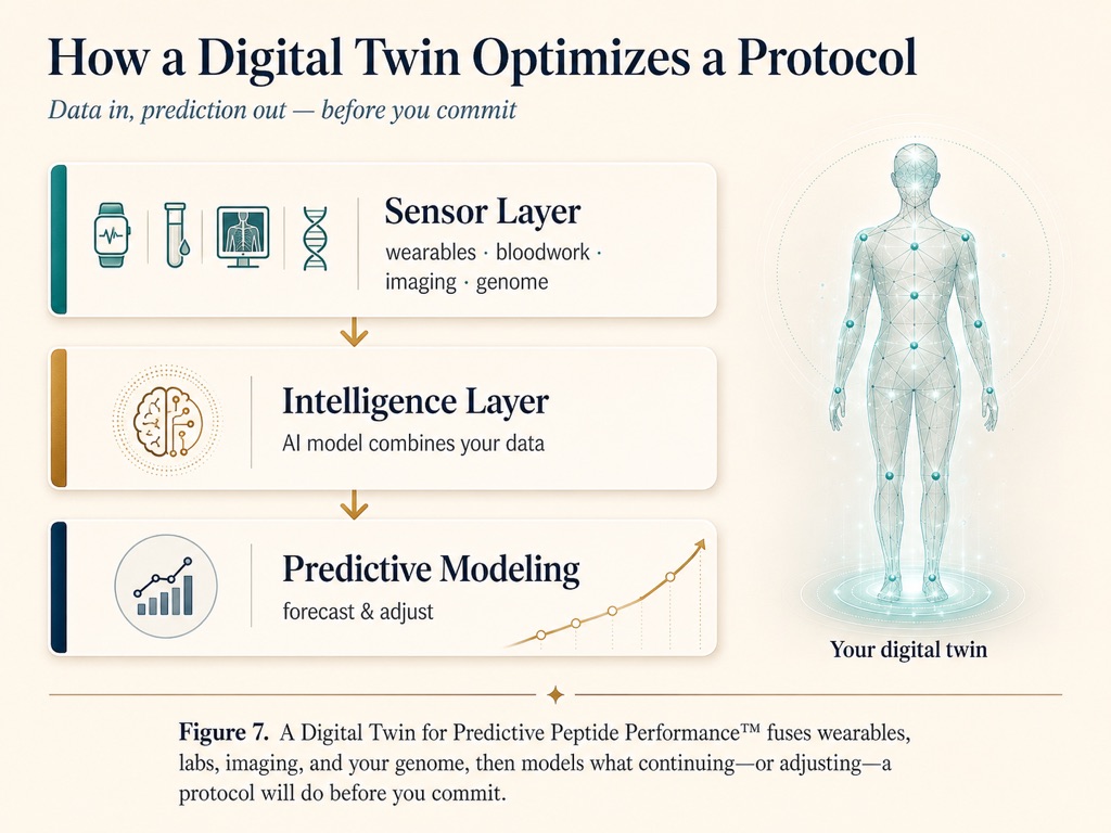 A Digital Twin models what continuing or adjusting a protocol will do