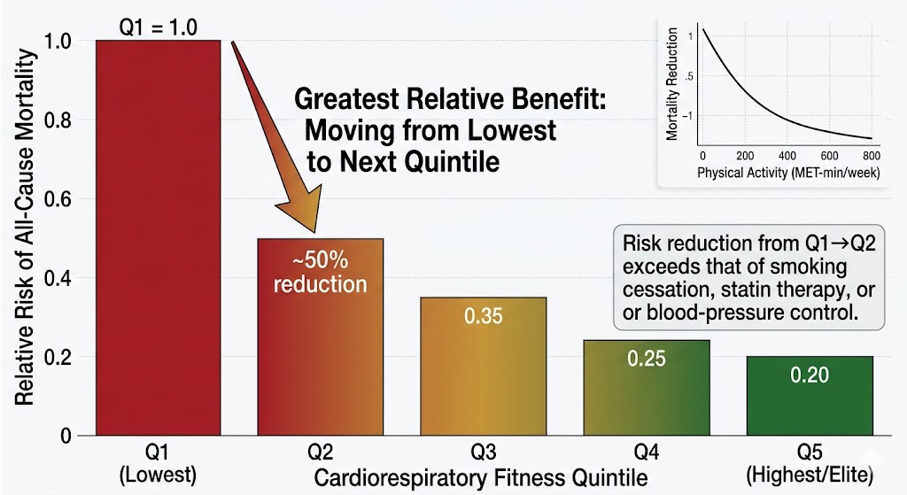 VO2max and All-Cause Mortality Risk