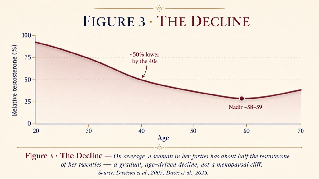 Figure 3: a woman in her forties has about half the testosterone of her twenties, a gradual age-driven decline